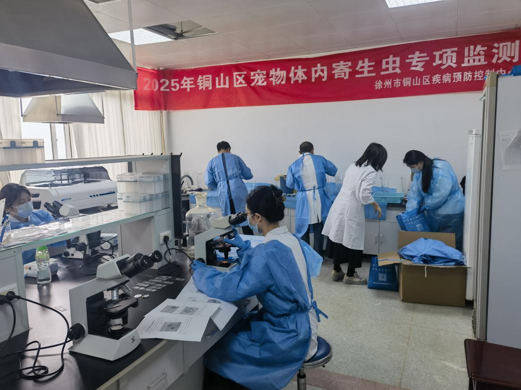 城乡同步监测，人宠共筑健康——徐州市完成宠物体内寄生虫感染情况监测